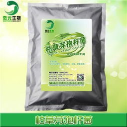 微元枯草芽孢杆菌原粉全水溶枯草芽孢杆菌菌粉生物发酵肥料添加剂供应商 农业生物科技网