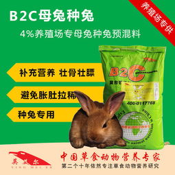永顺种母兔饲料 种兔预混合饲料 详细解读
